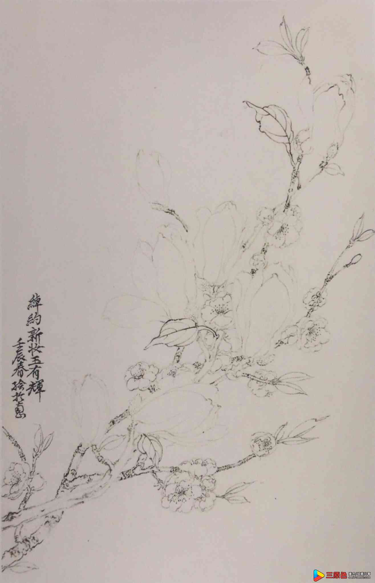 中国美术学院美术考级花鸟画考级九级(高级)示范图例。