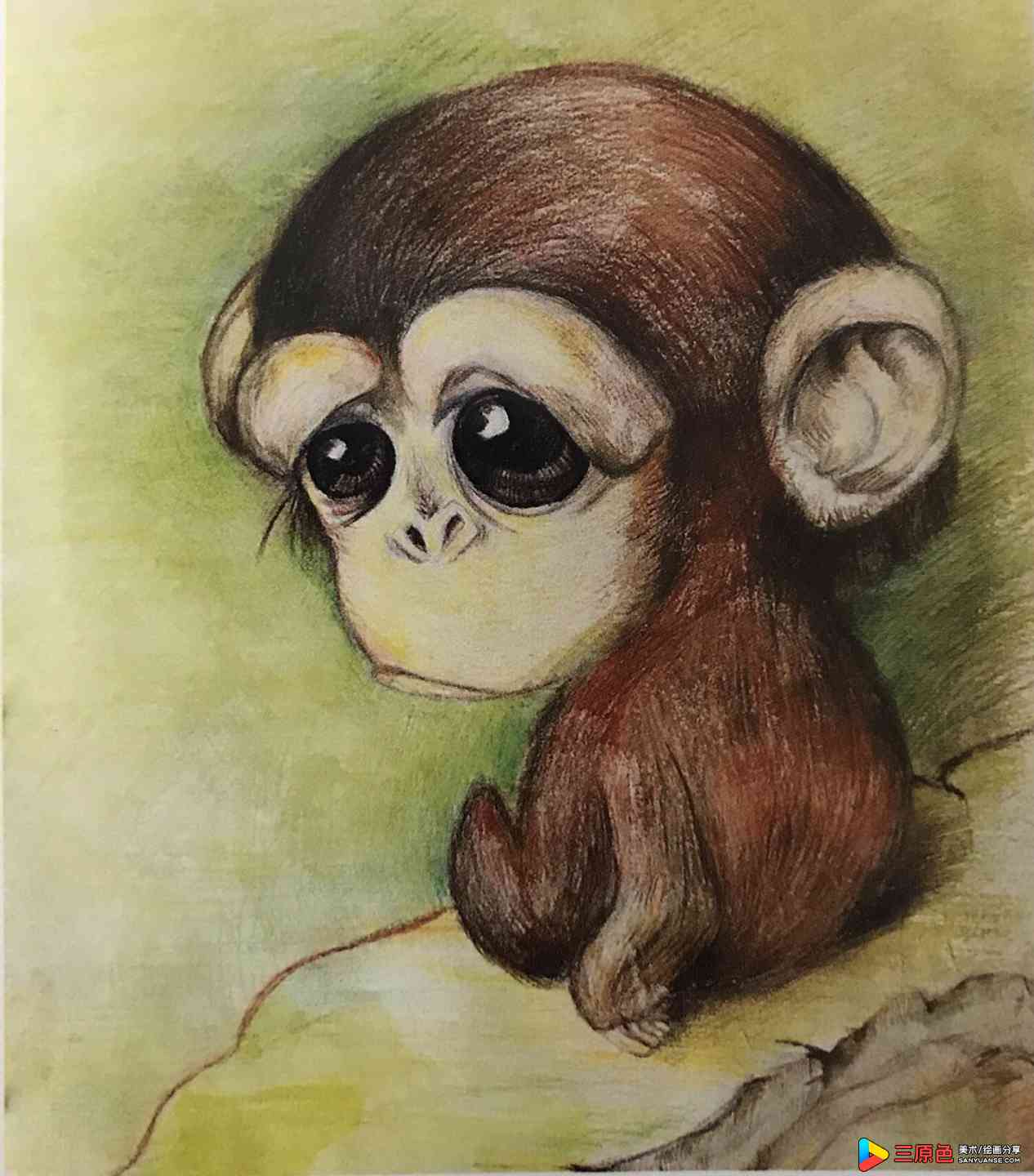 作品以一只可爱的小猴为主体，构图适合，主体突出形象锣目，可溶性彩铅表达深入具体，有一定的美感。