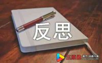 大班美术区域活动反思