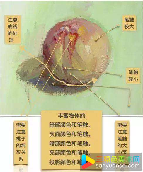 色彩静物怎么画?色彩桃子的绘画步骤! 色彩静物怎么画?色彩桃子的绘画步骤!