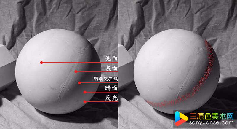 初学者必备的色彩静物基础教程，你会了吗？