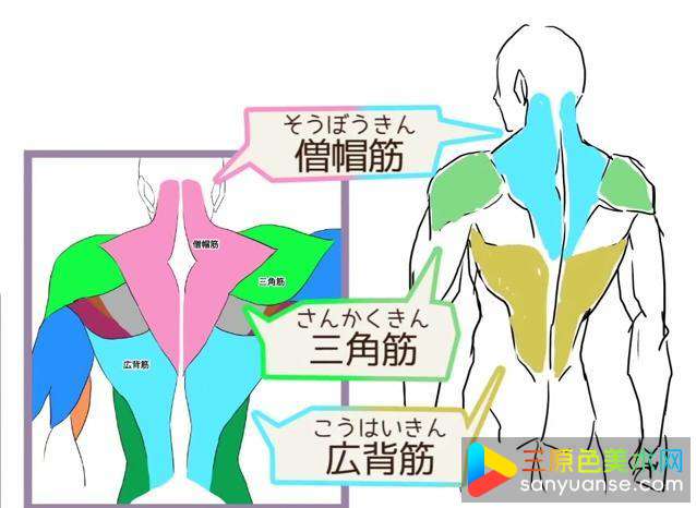 绘画初学者画手臂的方法有哪些? 绘画初学者画手臂的方法有哪些?