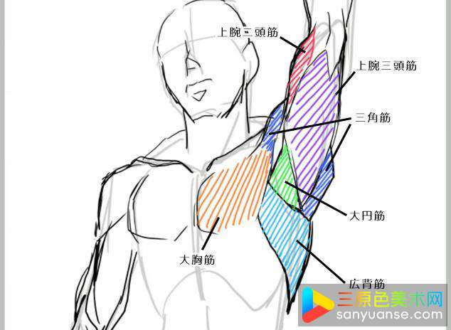 绘画初学者画手臂的方法有哪些? 绘画初学者画手臂的方法有哪些?