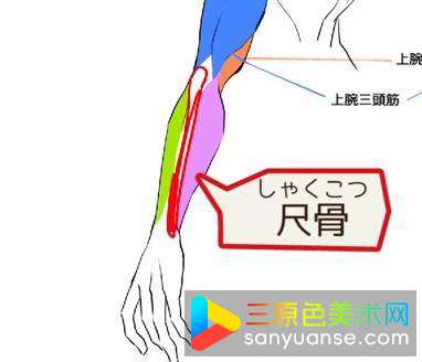 绘画初学者画手臂的方法有哪些? 绘画初学者画手臂的方法有哪些?