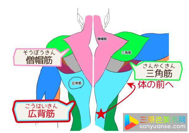 绘画初学者画手臂的方法有哪些? 绘画初学者画手臂的方法有哪些?