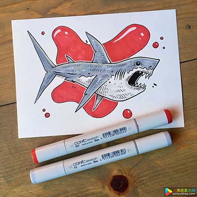 海洋鲨鱼怎么画?如何画动漫鲨鱼? 海洋鲨鱼怎么画?如何画动漫鲨鱼?