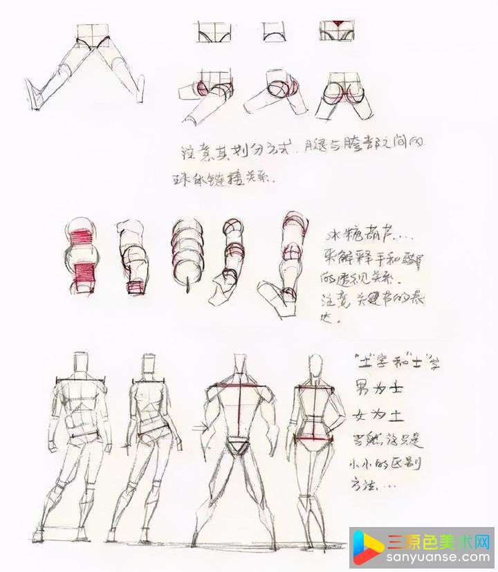 怎么画人体?人体基础训练有哪些重点? 怎么画人体?人体基础训练有哪些重点?