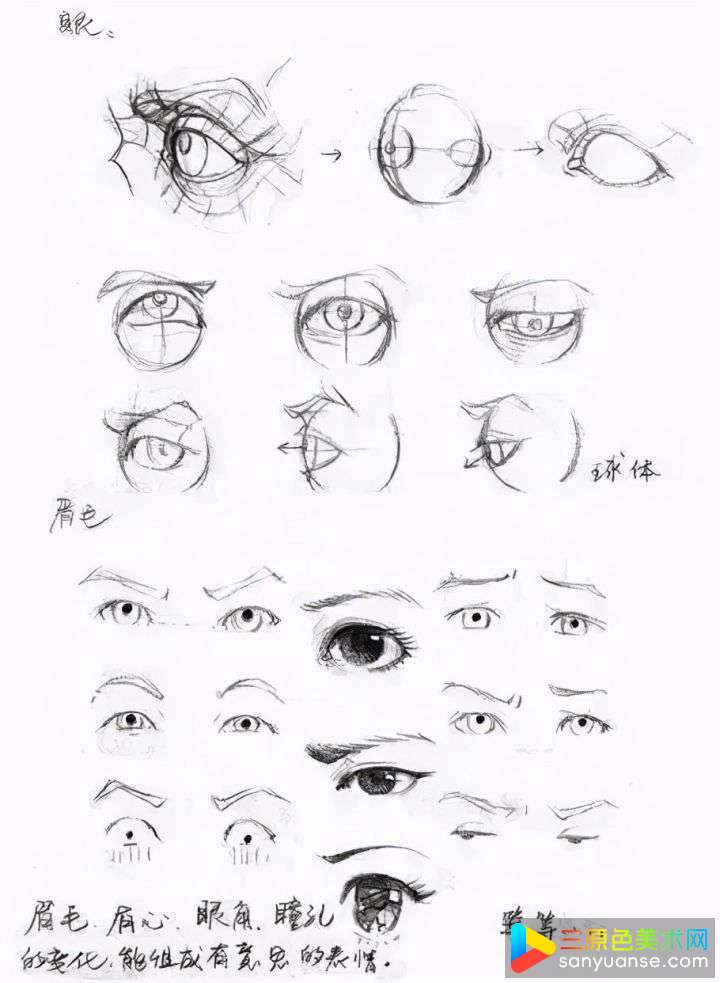 怎么画人体?人体基础训练有哪些重点? 怎么画人体?人体基础训练有哪些重点?