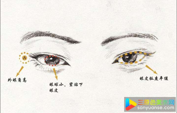 素描五官画法之眼睛的画法 素描五官画法之眼睛的画法