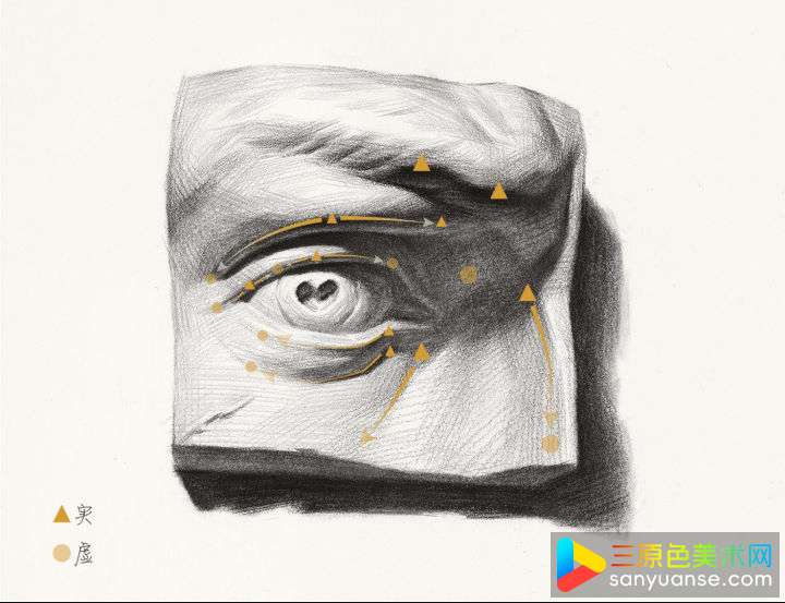 素描五官画法之眼睛的画法 素描五官画法之眼睛的画法