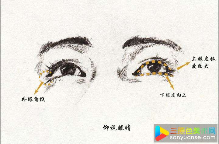 素描五官画法之眼睛的画法 素描五官画法之眼睛的画法