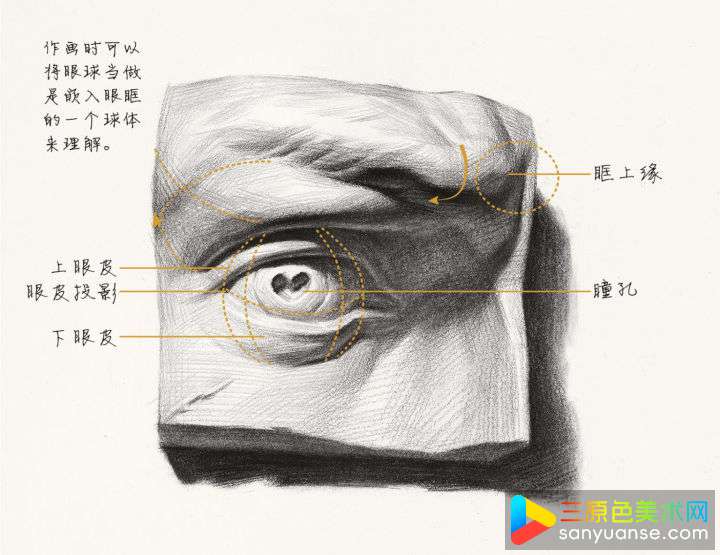 素描五官画法之眼睛的画法