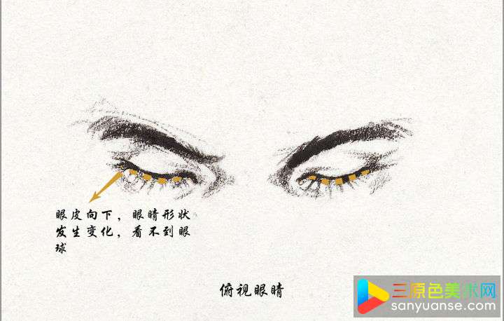 素描五官画法之眼睛的画法 素描五官画法之眼睛的画法