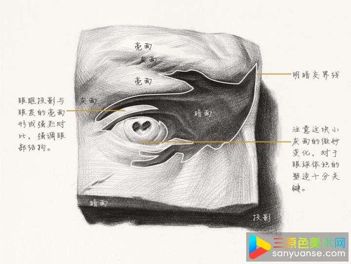 素描五官画法之眼睛的画法 素描五官画法之眼睛的画法