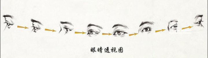 素描五官画法之眼睛的画法 素描五官画法之眼睛的画法