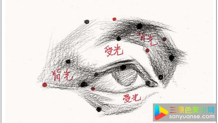 素描五官画法之眼睛的画法 素描五官画法之眼睛的画法