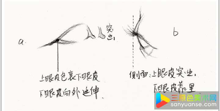 素描五官画法之眼睛的画法 素描五官画法之眼睛的画法