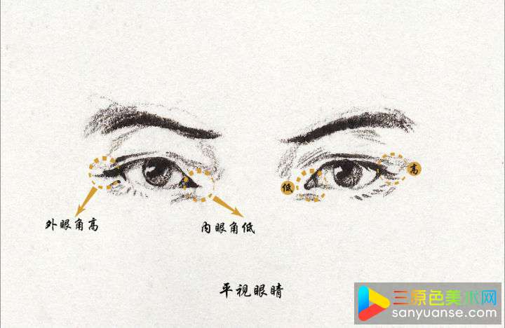 素描五官画法之眼睛的画法 素描五官画法之眼睛的画法