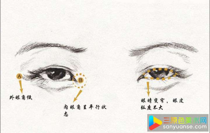素描五官画法之眼睛的画法 素描五官画法之眼睛的画法