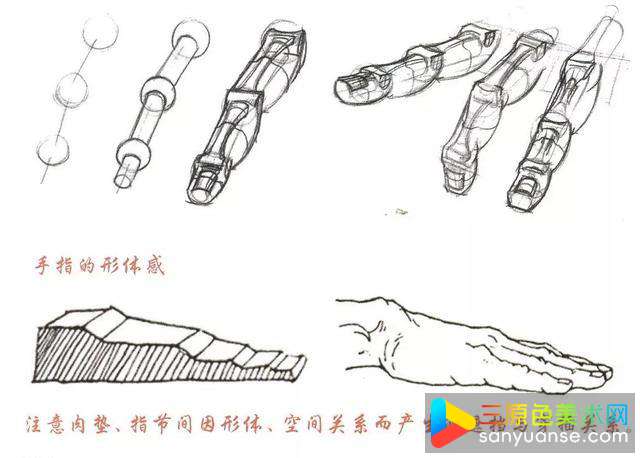 人物手部怎么画？新手如何绘制手掌