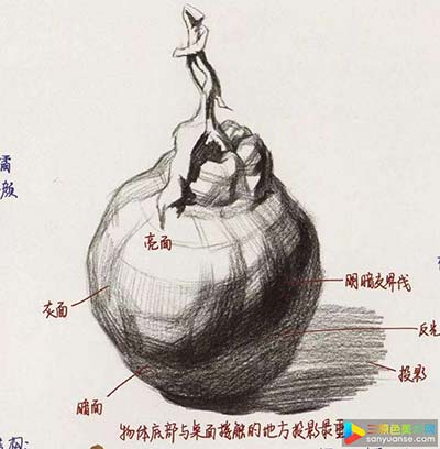 静物色彩橘子的画法，橘子罐子的常用画法讲解