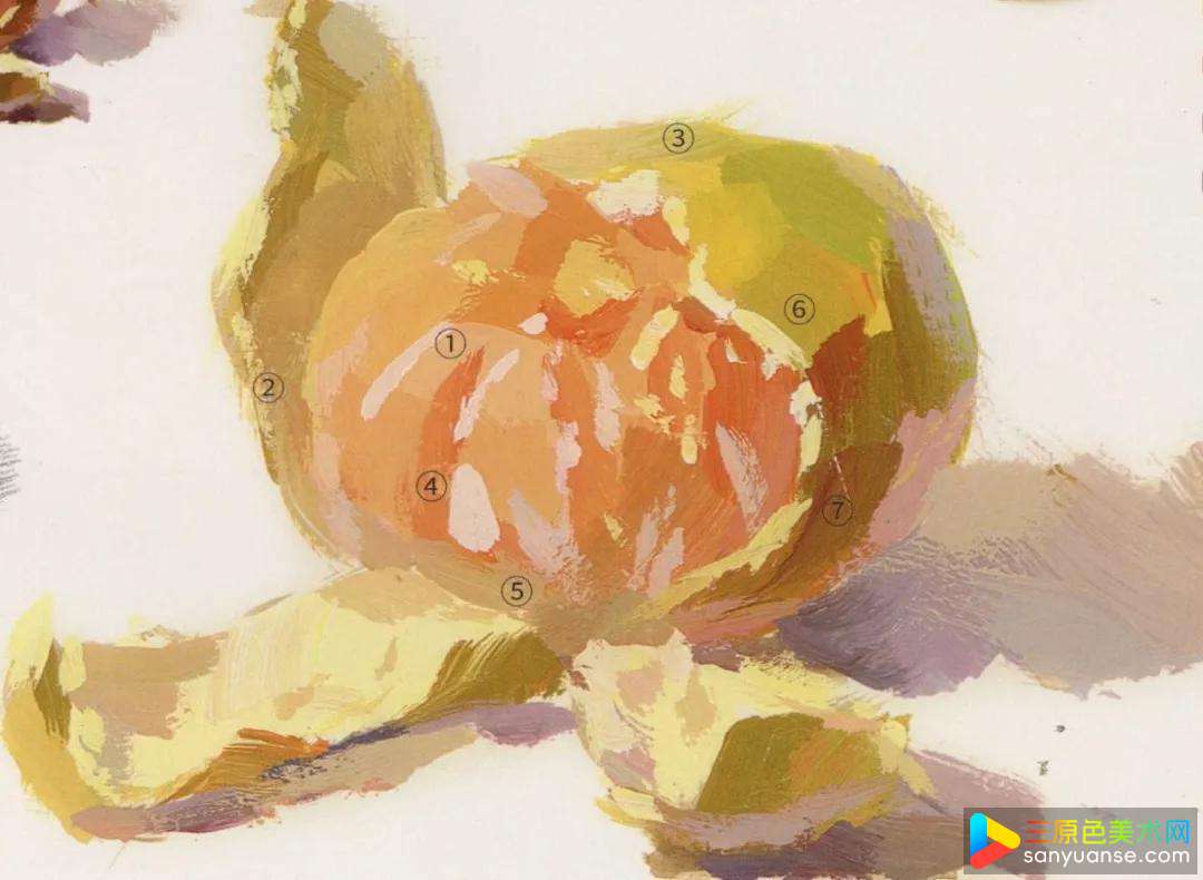 静物色彩橘子的画法，橘子罐子的常用画法讲解