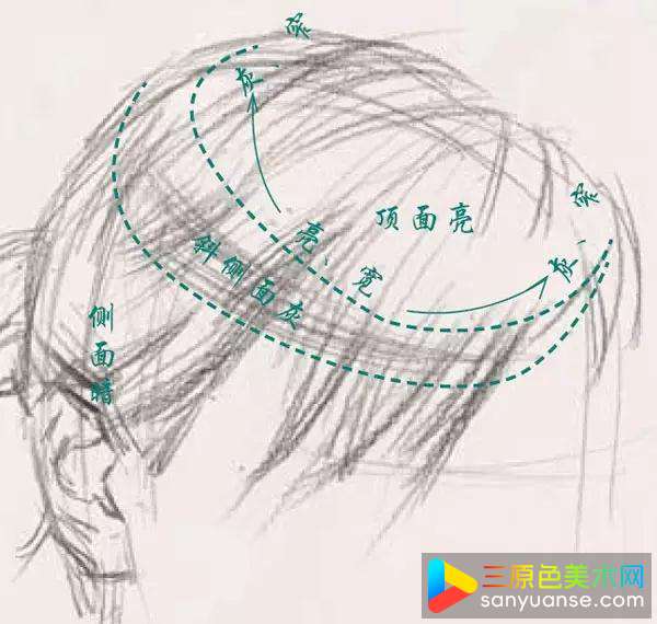 素描人物头发的常用画法，人物头发基础教程