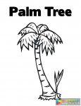植物简笔画大全 椰子树简笔画