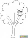 榕树和猫头鹰简笔画