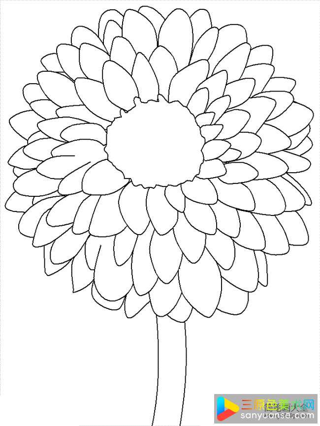 花朵简笔画大全 简单的幼儿花朵简笔画