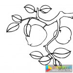 关于桃树树干简笔画