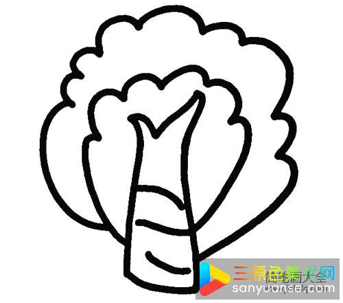 杨树的画法简笔画