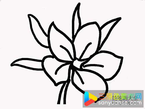 樱花简笔画画法