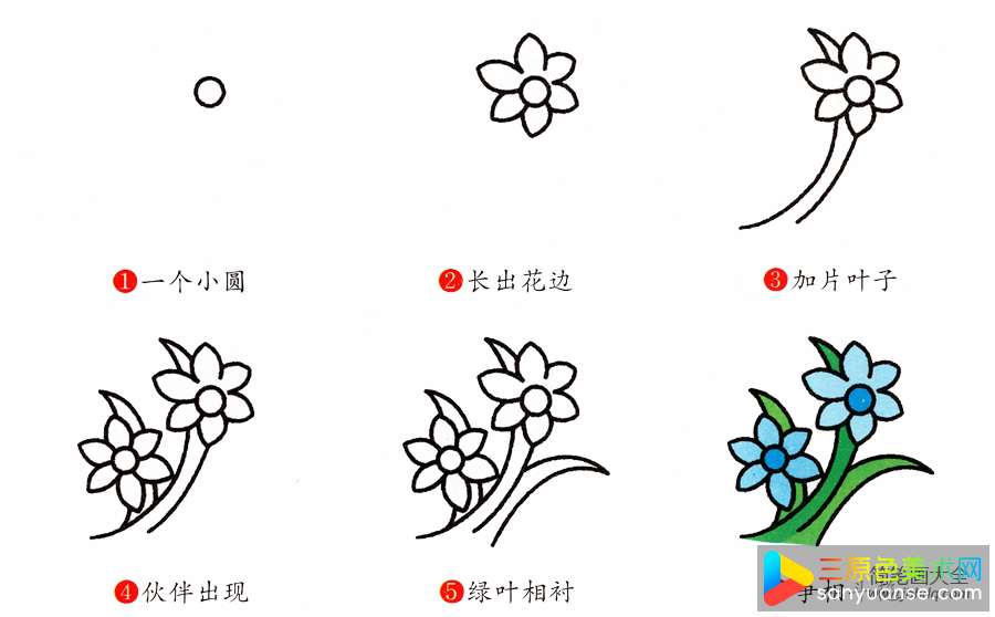 兰花的简笔画画法