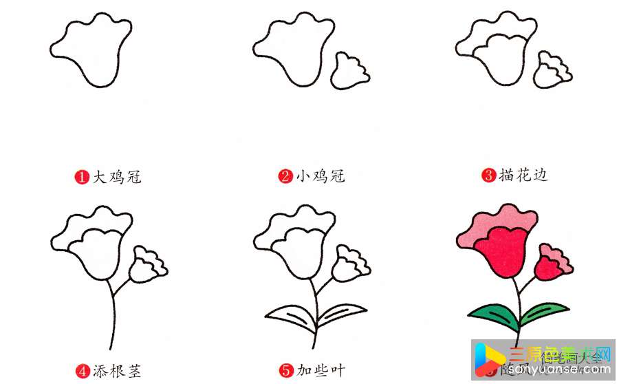 鸡冠花简笔画画法