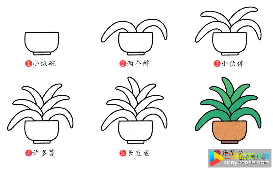 君子兰的简笔画画法