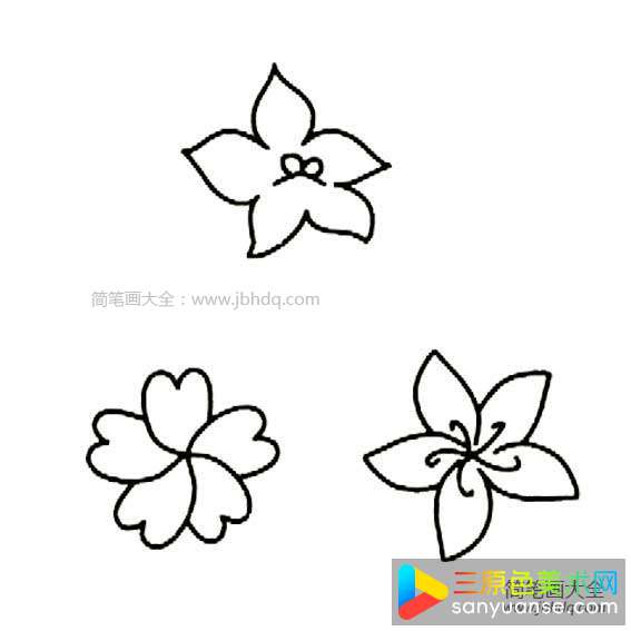 漂亮的花瓣简笔画图片
