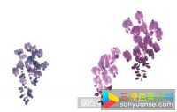 紫藤花国画画法步骤