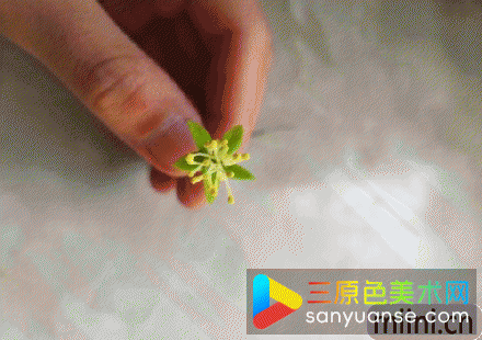 树脂粘土海棠花制作教程