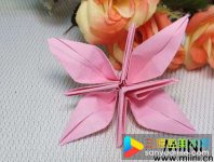儿童折纸教程，漂亮小花的折法