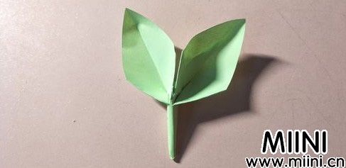 绿芽折纸13.JPG