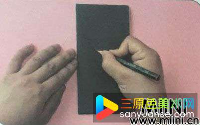 枞树(1).jpg