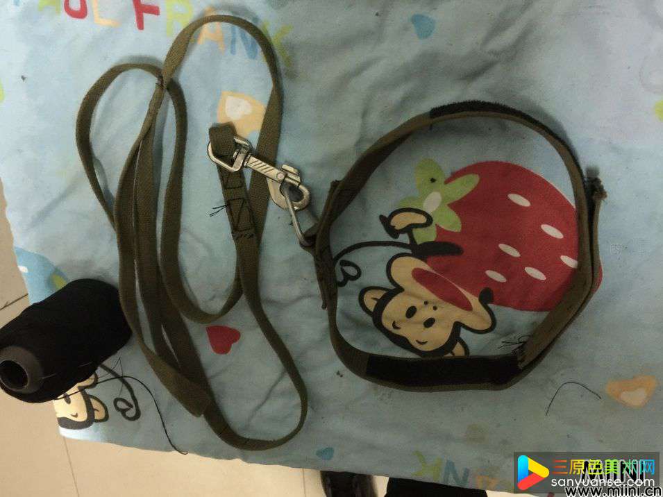 手工布艺自制幼犬牵引带制作教程